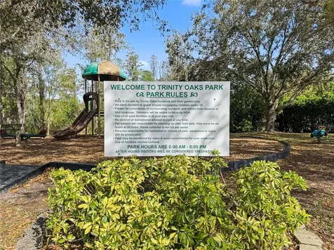 1031 Maravista Drive Trinity FL 34655