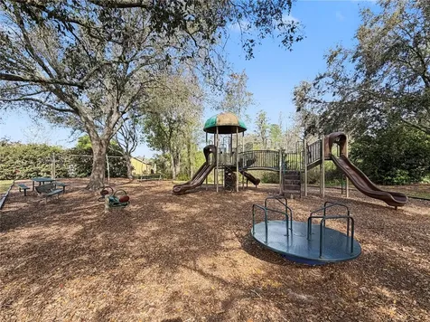 1031 Maravista Drive Trinity FL 34655