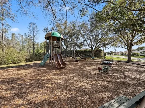 1031 Maravista Drive Trinity FL 34655