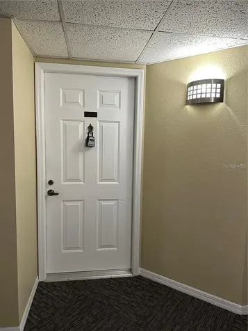 3211 W Swann Avenue Tampa FL 33609