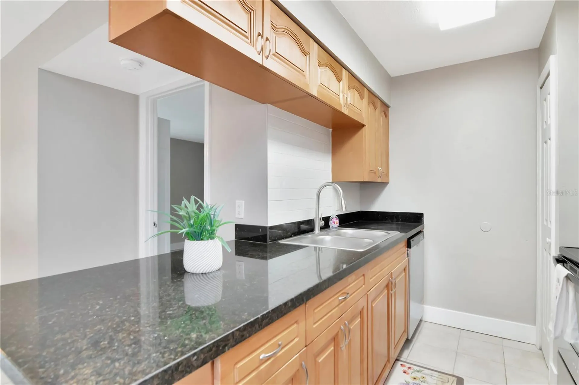 228 Berry Tree Place Brandon FL 33510