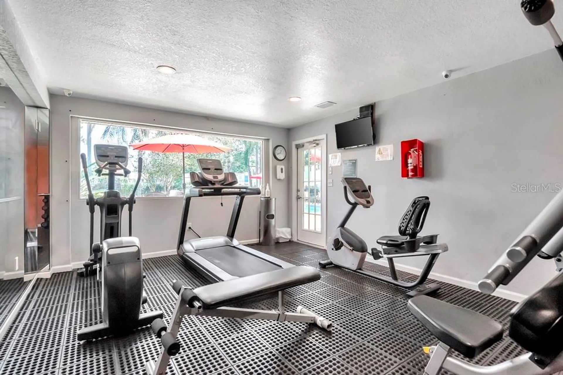 228 Berry Tree Place Brandon FL 33510