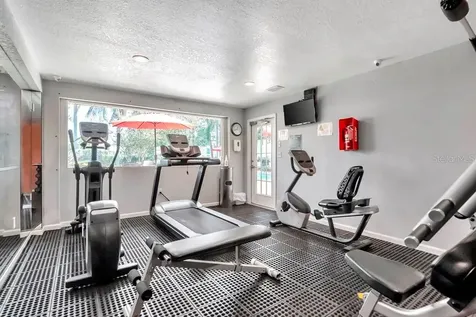 228 Berry Tree Place Brandon FL 33510