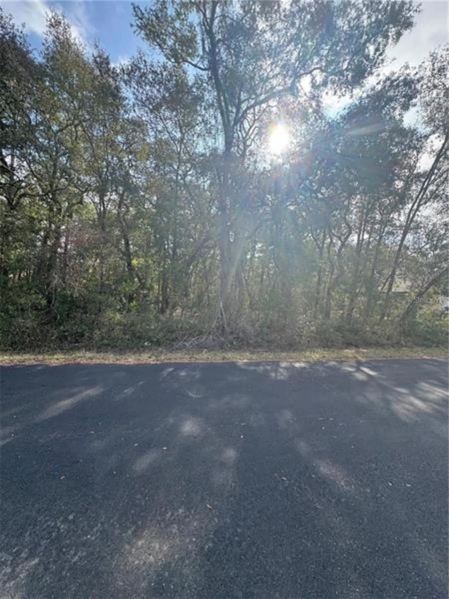 Tbd Locust Loop Terrace Ocala FL 34472