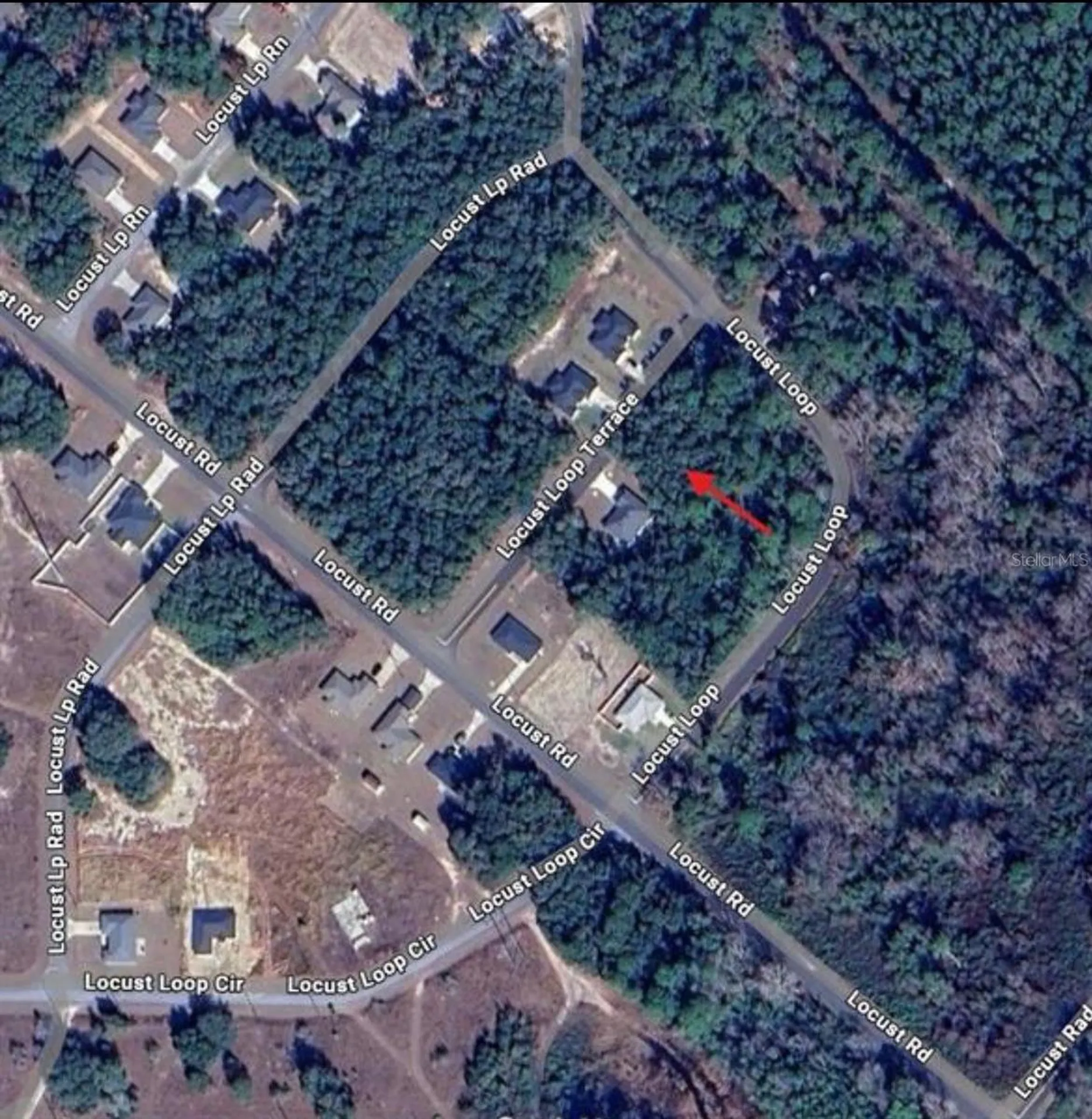 Tbd Locust Loop Terrace Ocala FL 34472