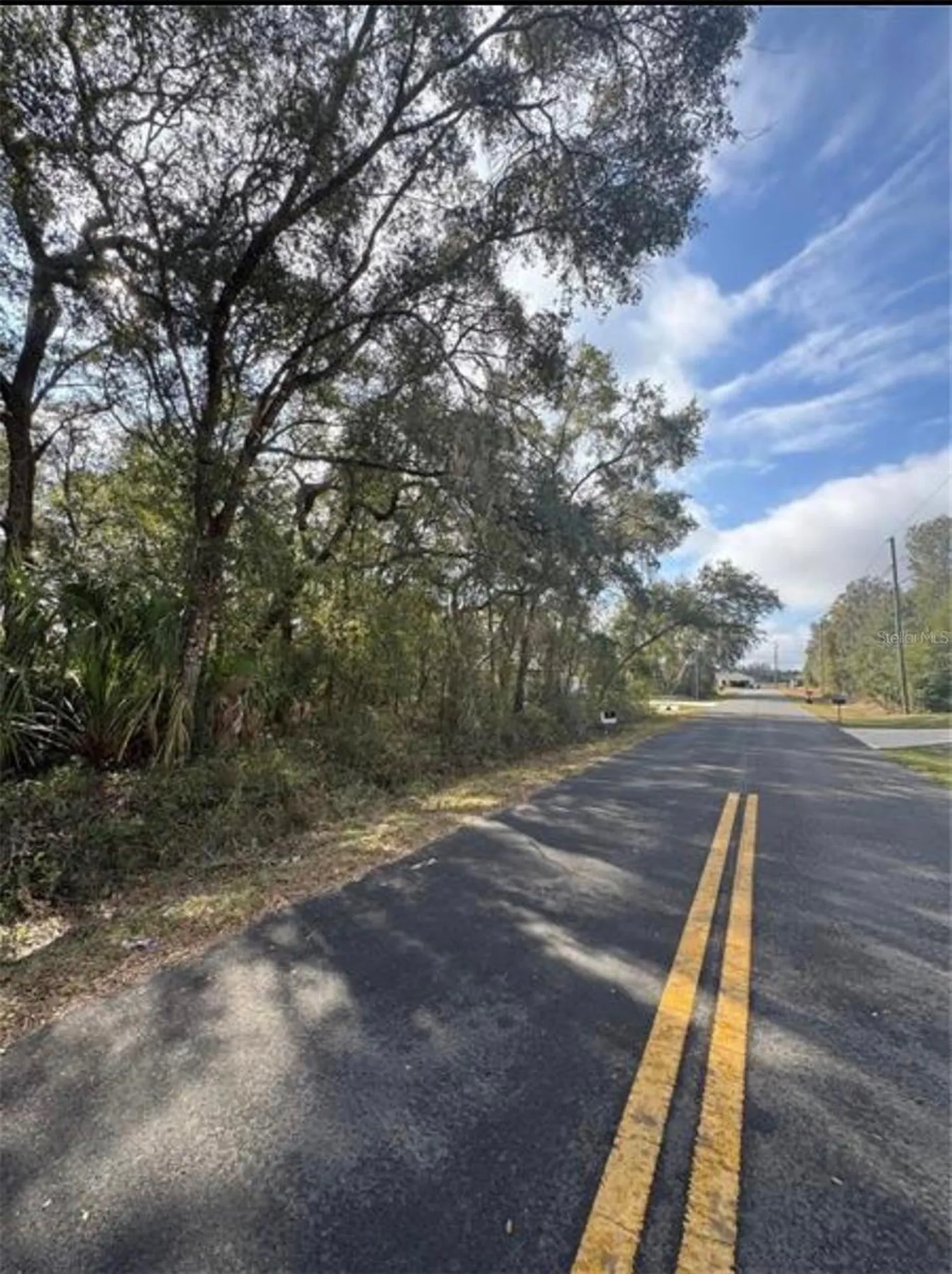 Tbd Locust Loop Terrace Ocala FL 34472