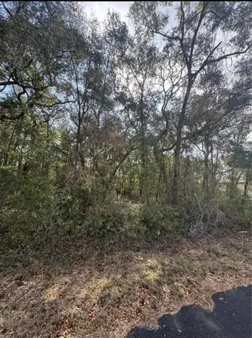 Tbd Locust Loop Terrace Ocala FL 34472