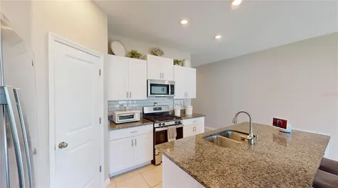 10313 Scarlet Skimmer Drive Riverview FL 33578