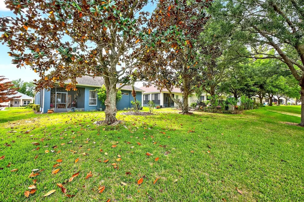 3447 Mount Hope Loop Leesburg FL 34748