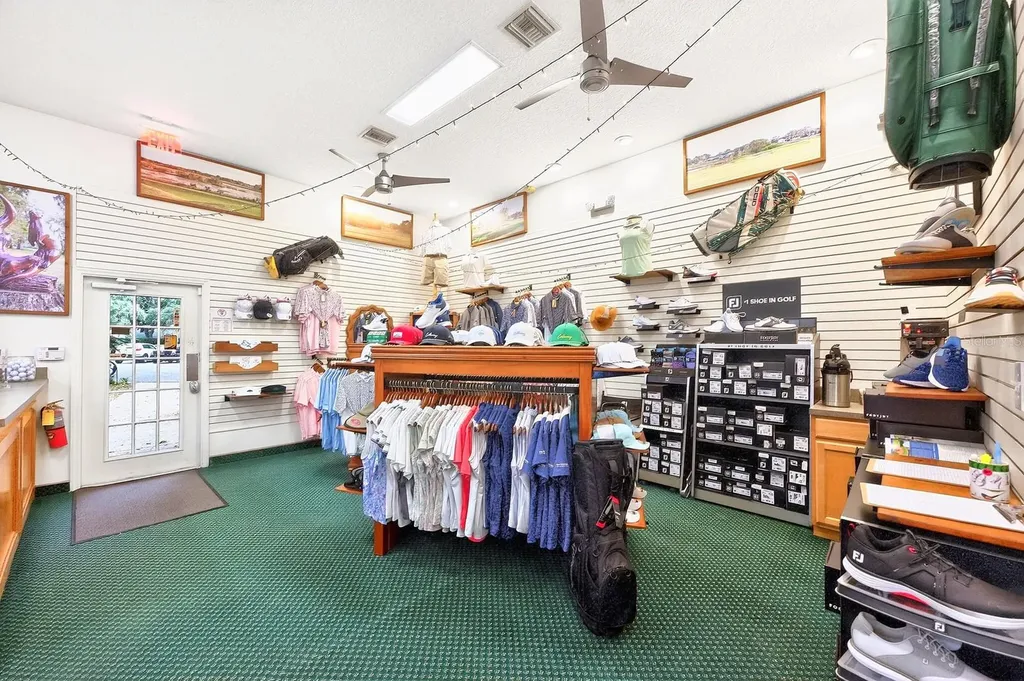 3447 Mount Hope Loop Leesburg FL 34748