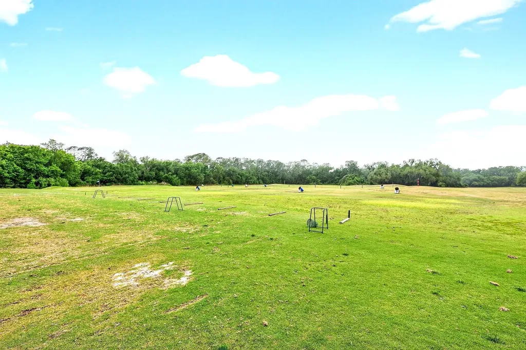 3447 Mount Hope Loop Leesburg FL 34748