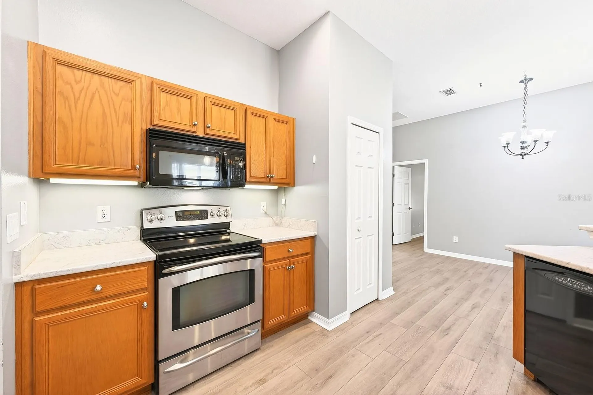 3447 Mount Hope Loop Leesburg FL 34748