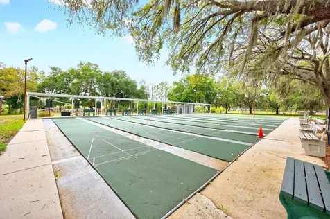 3447 Mount Hope Loop Leesburg FL 34748