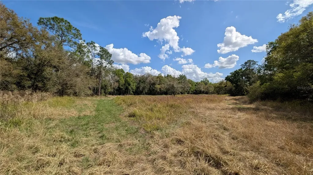 Gillette Road Zolfo Springs FL 33890