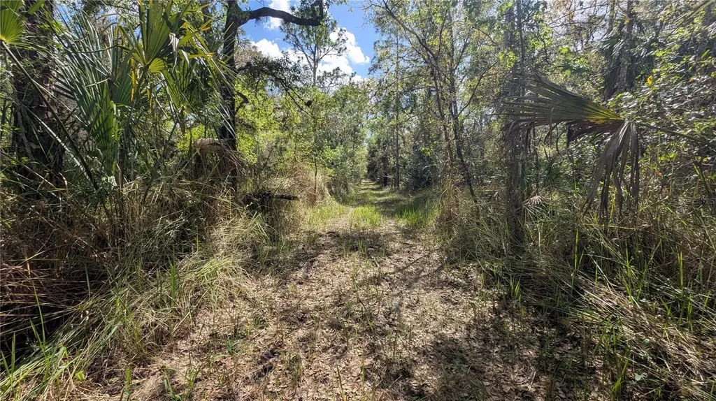 Gillette Road Zolfo Springs FL 33890