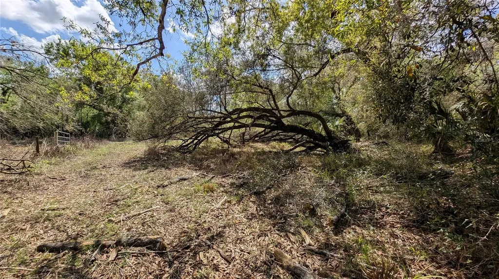 Gillette Road Zolfo Springs FL 33890