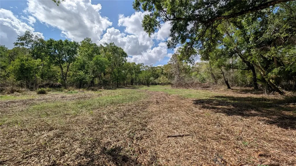 Gillette Road Zolfo Springs FL 33890