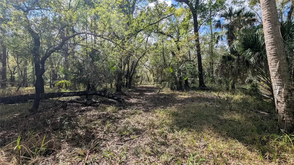 Gillette Road Zolfo Springs FL 33890
