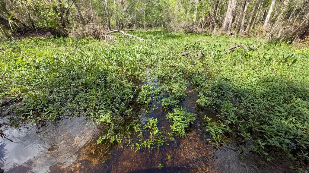 Gillette Road Zolfo Springs FL 33890