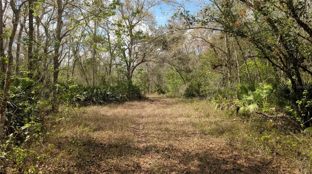 Gillette Road Zolfo Springs FL 33890