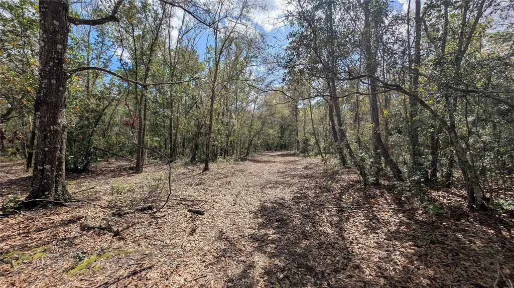 Gillette Road Zolfo Springs FL 33890