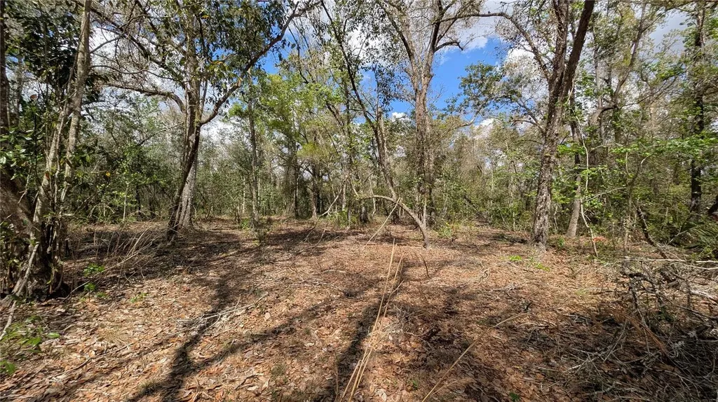 Gillette Road Zolfo Springs FL 33890