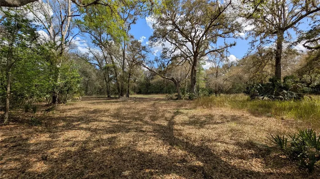 Gillette Road Zolfo Springs FL 33890