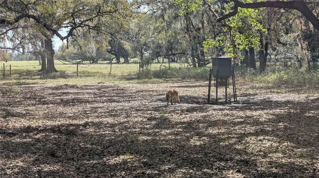 Gillette Road Zolfo Springs FL 33890