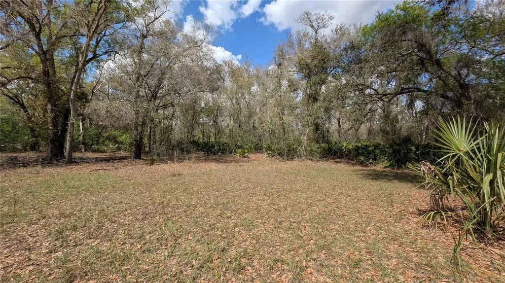 Gillette Road Zolfo Springs FL 33890
