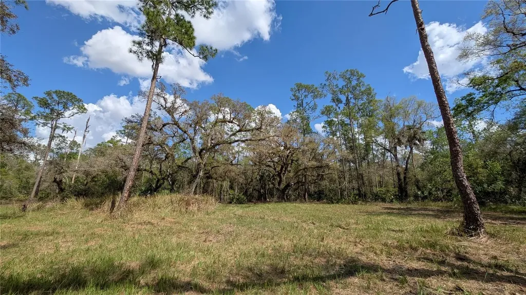 Gillette Road Zolfo Springs FL 33890