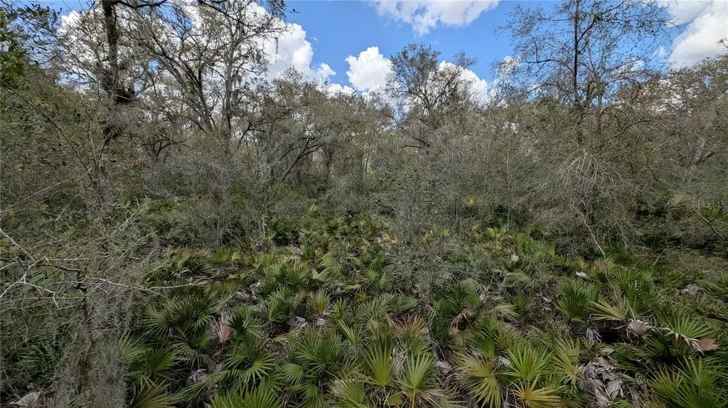 Gillette Road Zolfo Springs FL 33890