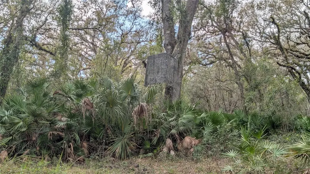 Gillette Road Zolfo Springs FL 33890