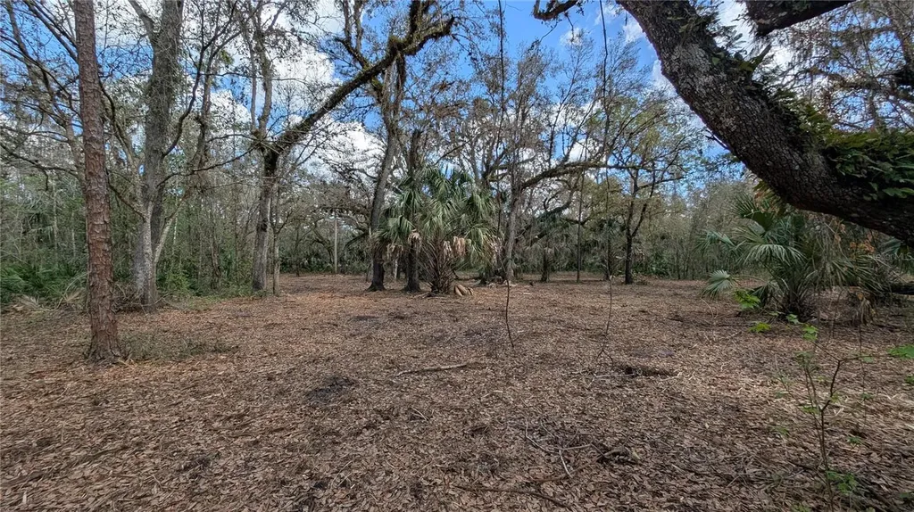 Gillette Road Zolfo Springs FL 33890