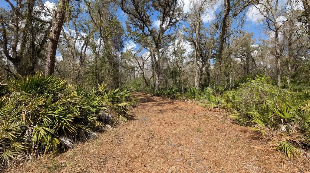 Gillette Road Zolfo Springs FL 33890