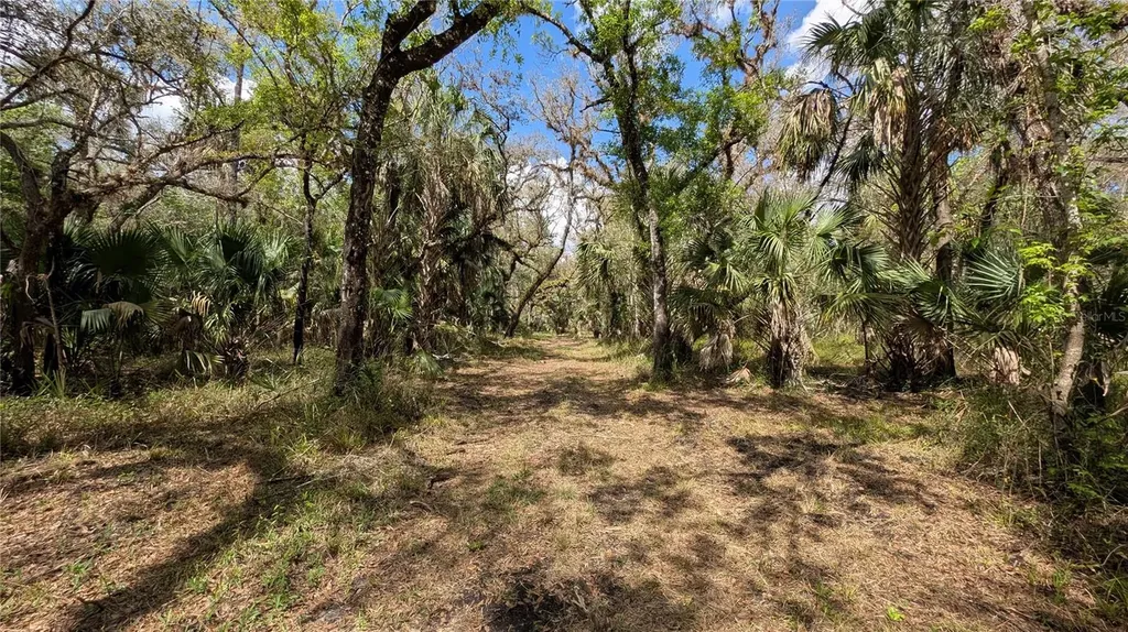 Gillette Road Zolfo Springs FL 33890