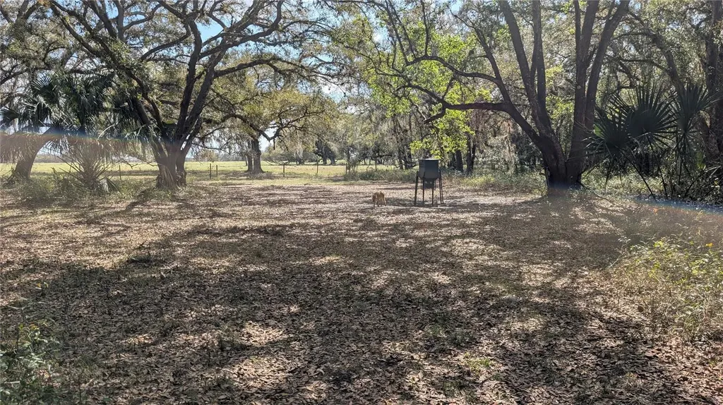 Gillette Road Zolfo Springs FL 33890