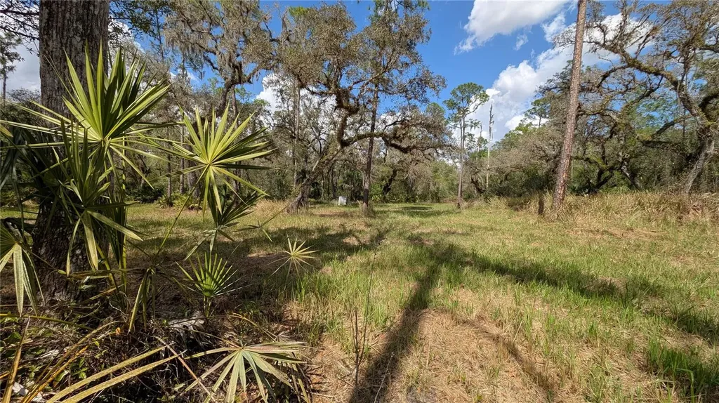 Gillette Road Zolfo Springs FL 33890
