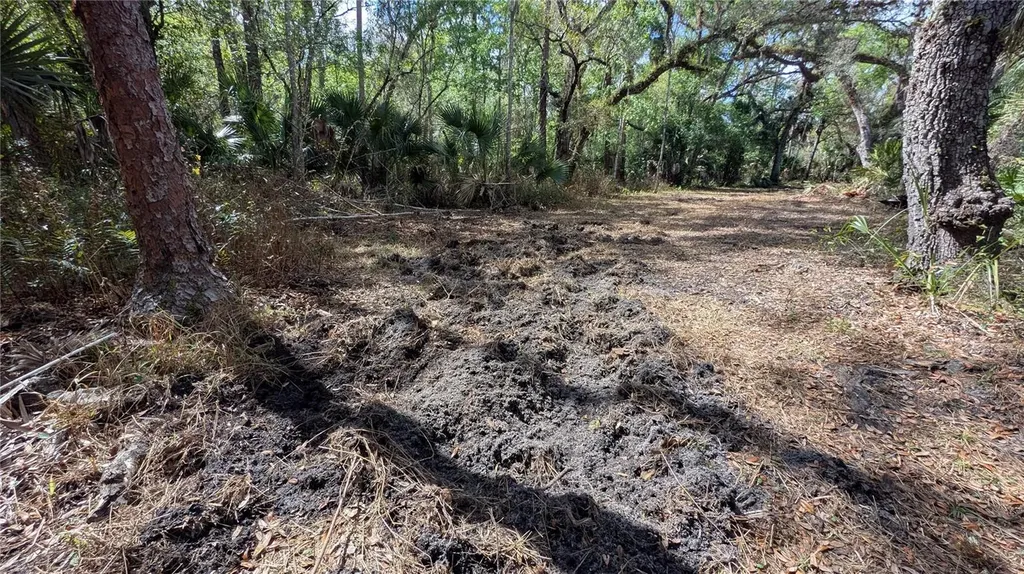 Gillette Road Zolfo Springs FL 33890