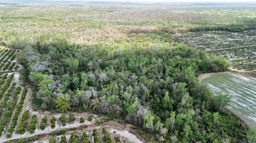 Gillette Road Zolfo Springs FL 33890