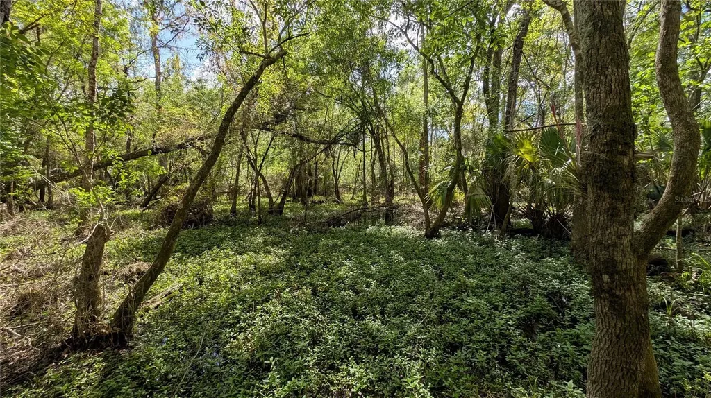 Gillette Road Zolfo Springs FL 33890