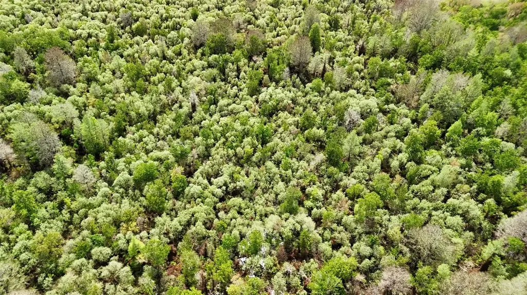 Gillette Road Zolfo Springs FL 33890