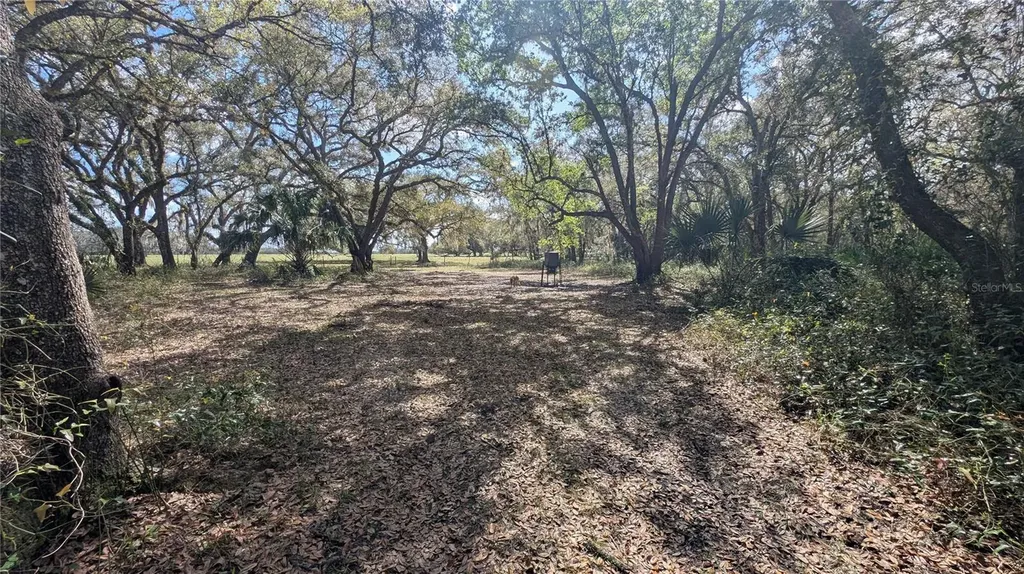 Gillette Road Zolfo Springs FL 33890