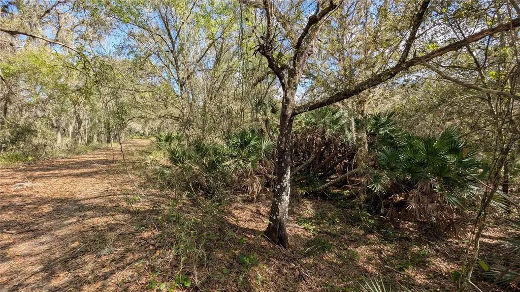 Gillette Road Zolfo Springs FL 33890