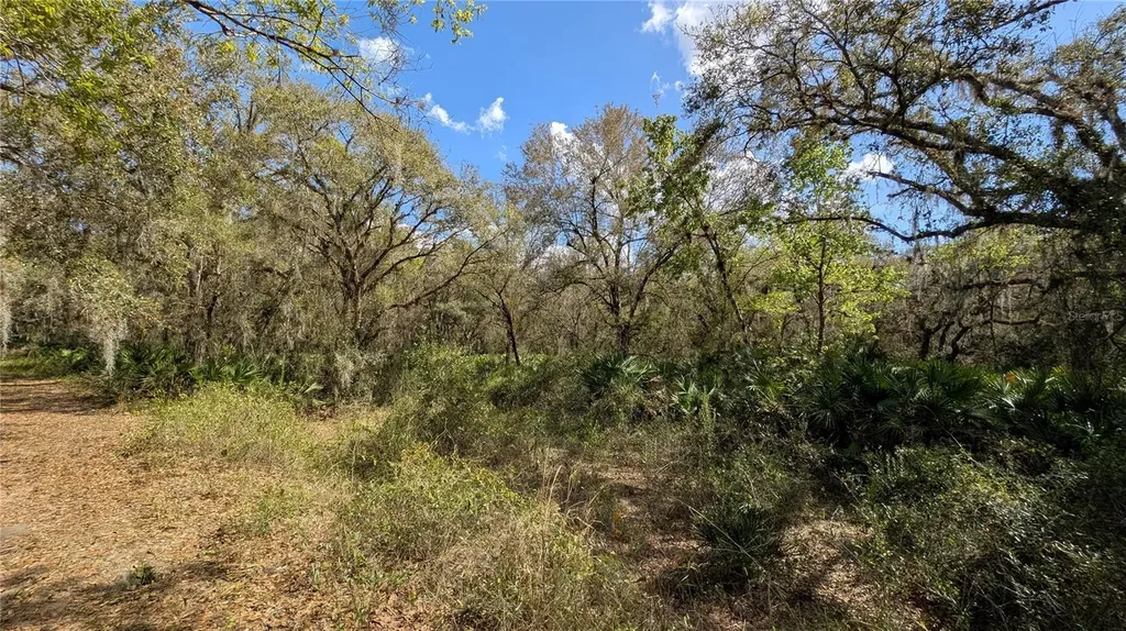 Gillette Road Zolfo Springs FL 33890