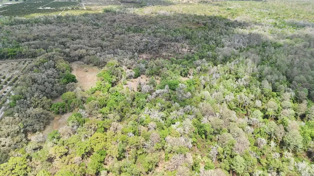 Gillette Road Zolfo Springs FL 33890