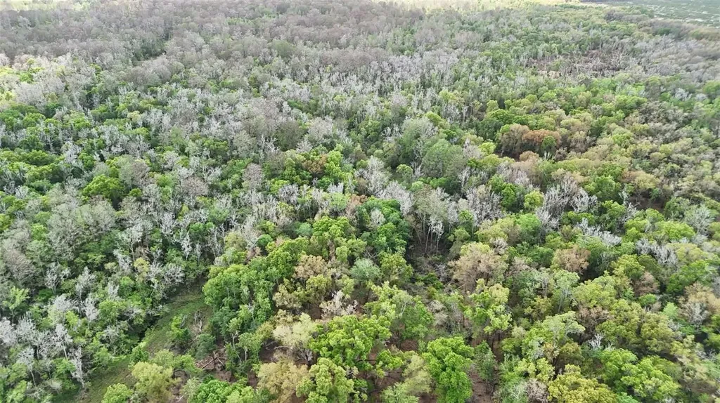 Gillette Road Zolfo Springs FL 33890