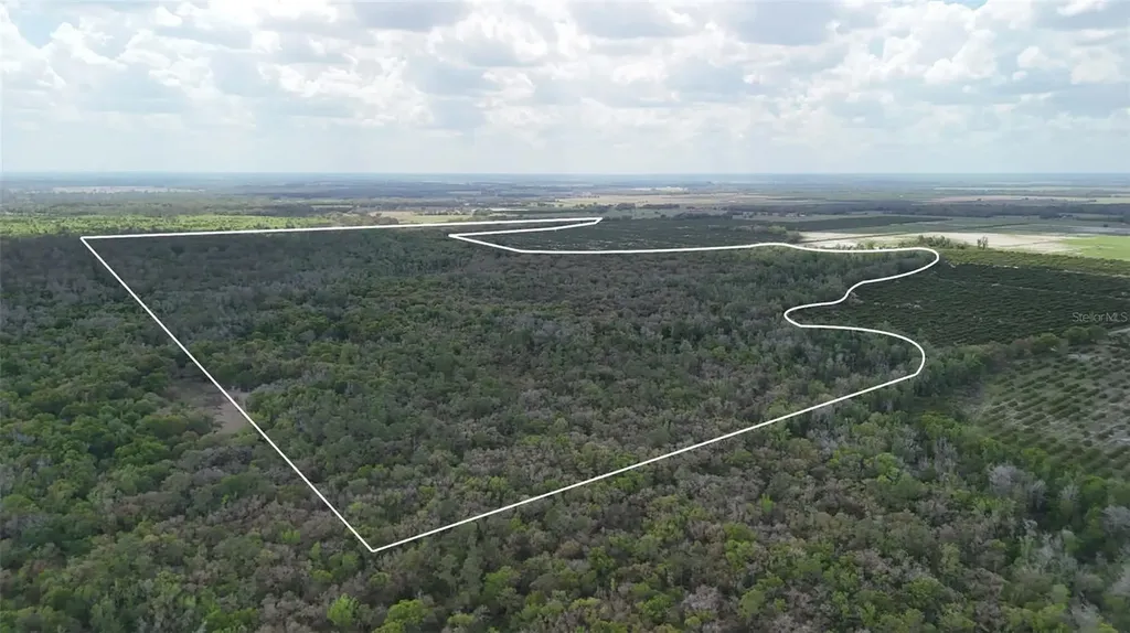 Gillette Road Zolfo Springs FL 33890
