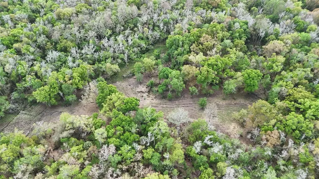 Gillette Road Zolfo Springs FL 33890