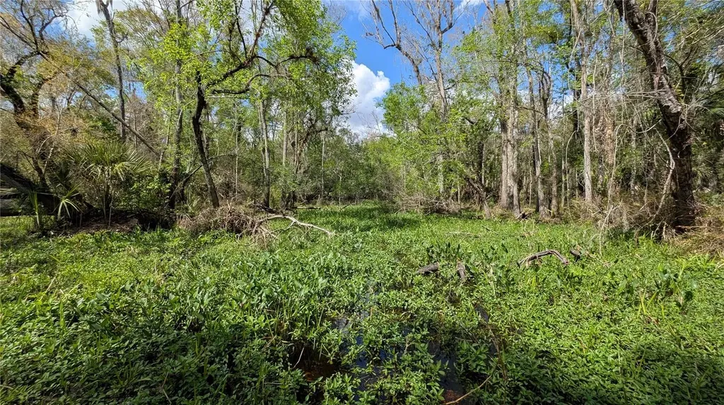 Gillette Road Zolfo Springs FL 33890