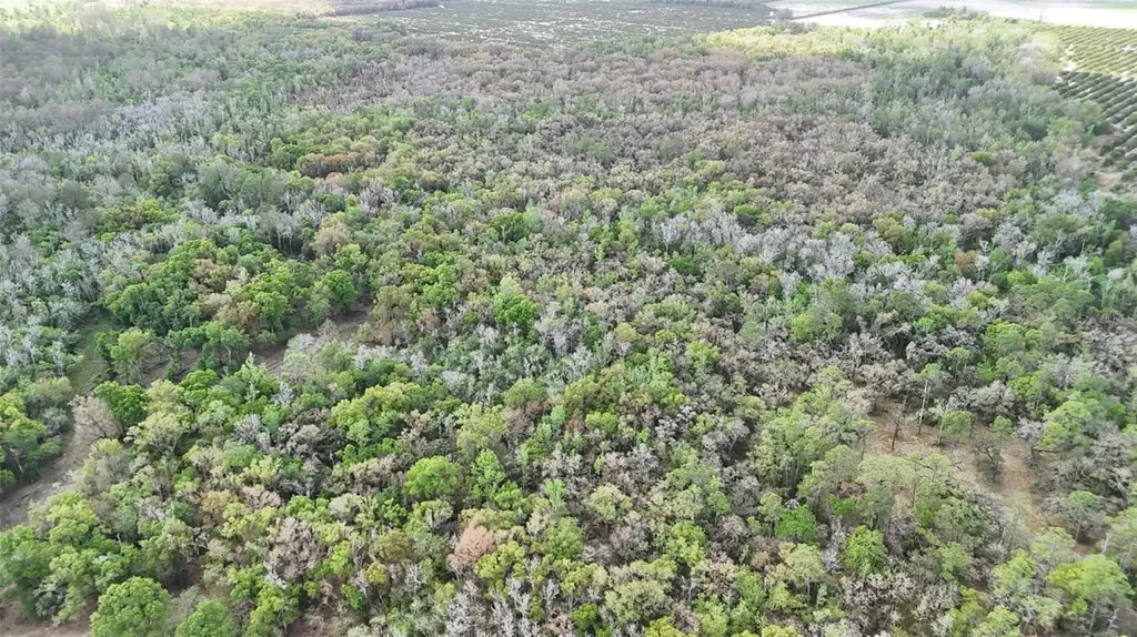 Gillette Road Zolfo Springs FL 33890